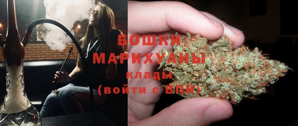 jwh Пересвет